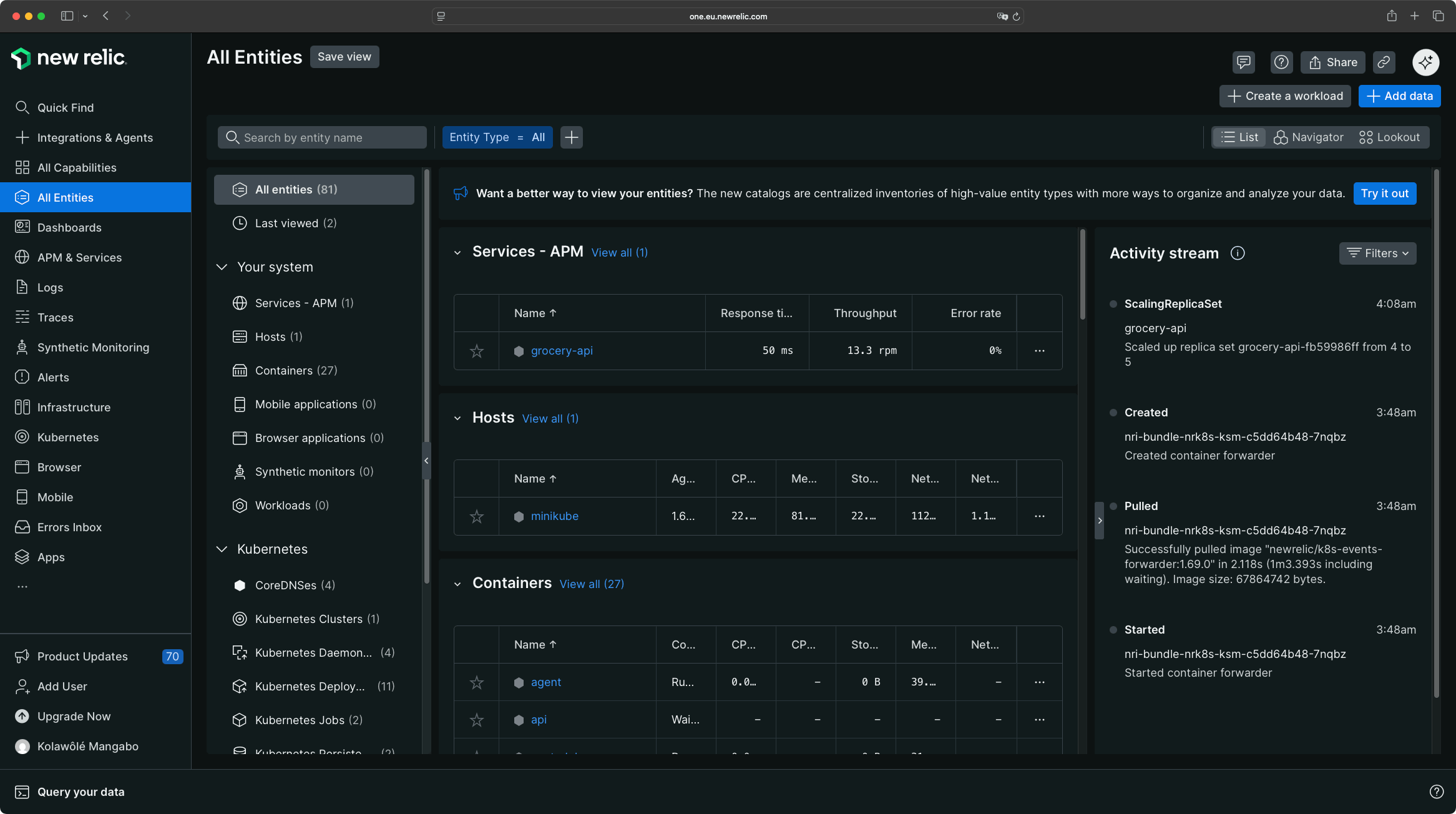New Relic Entity View