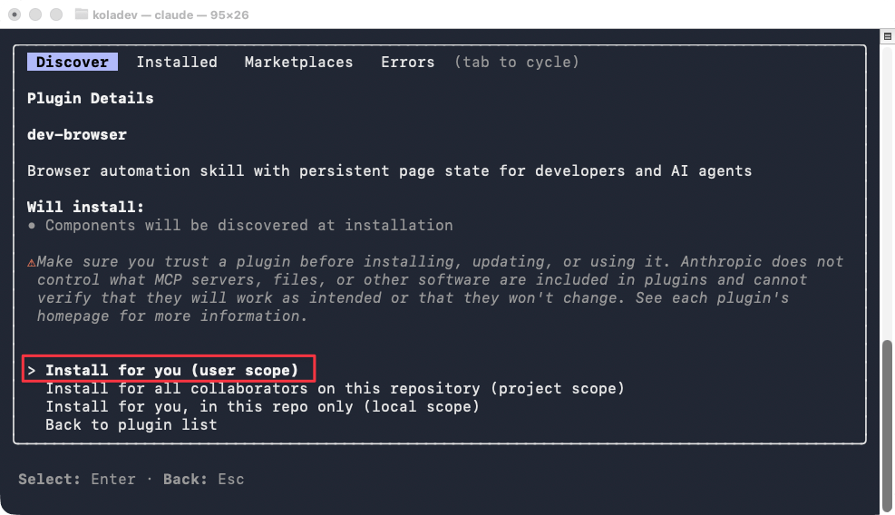Plugin installation scope selection