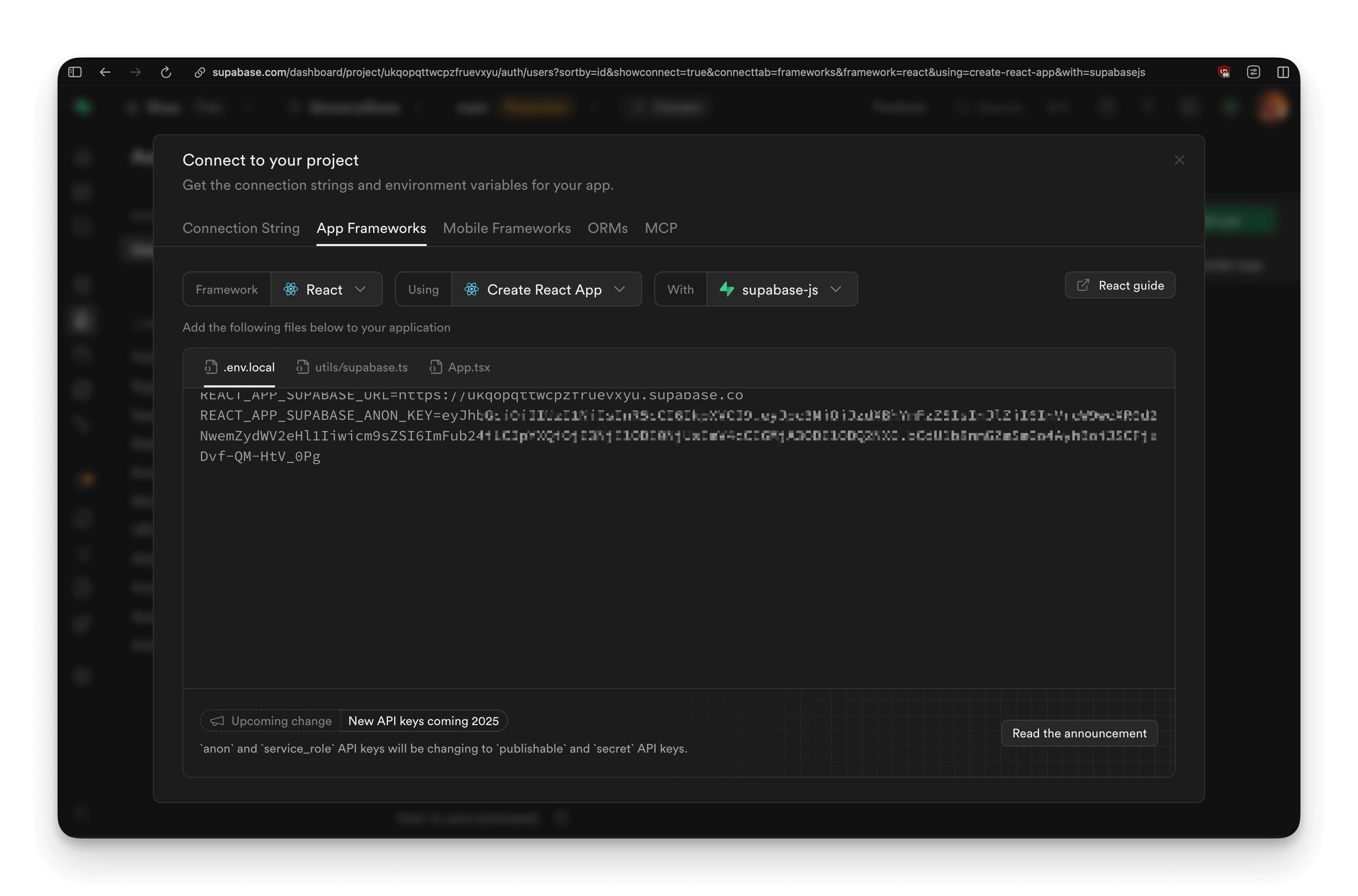 Supabase connection config showing project URL and keys