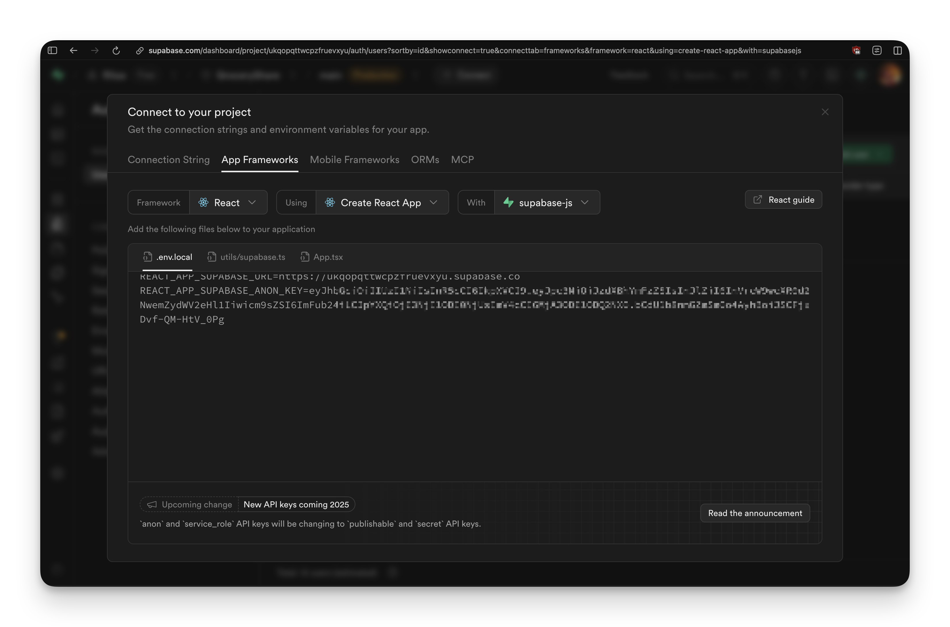 Supabase connection config showing project URL and keys